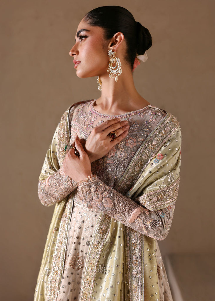 Shell Romance Tena Durrani