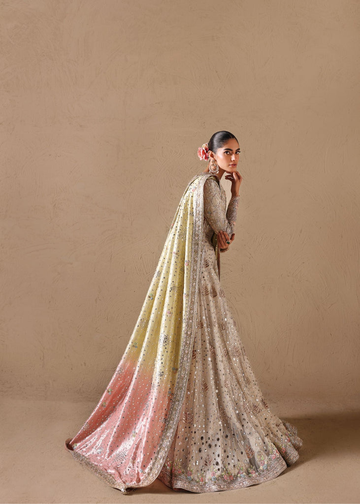 Shell Romance Tena Durrani