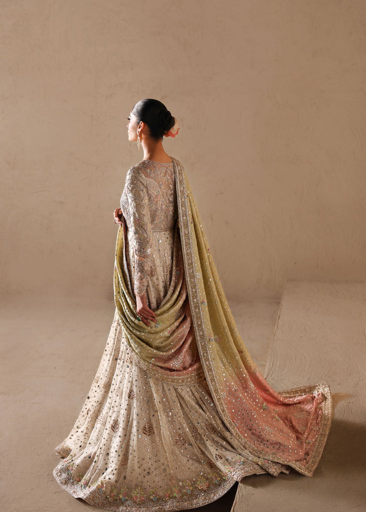 Shell Romance Tena Durrani