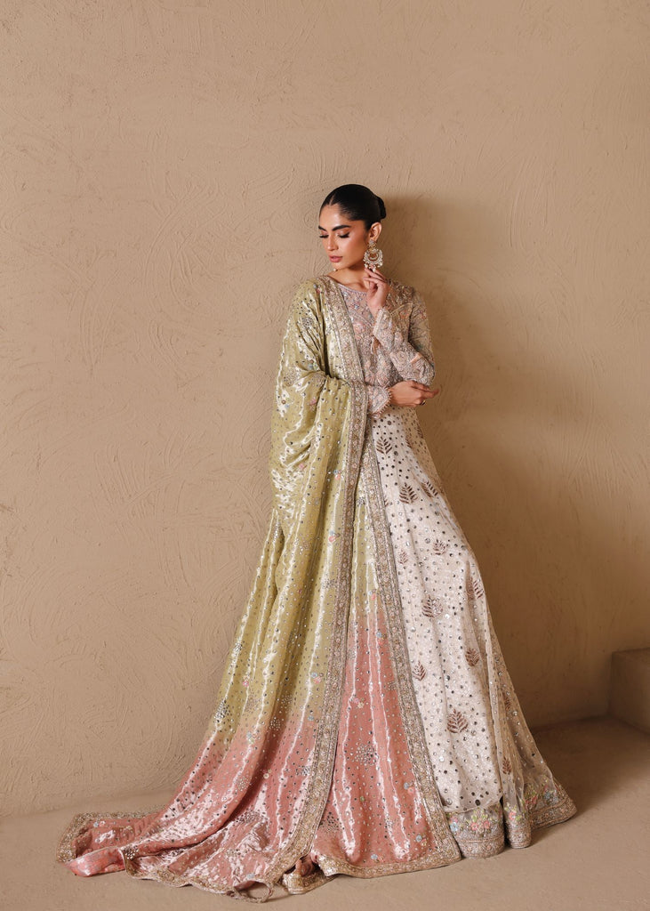 Shell Romance Tena Durrani