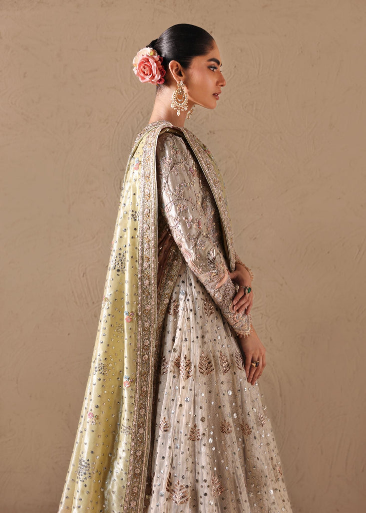 Shell Romance Tena Durrani