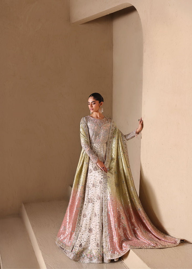 Shell Romance Tena Durrani